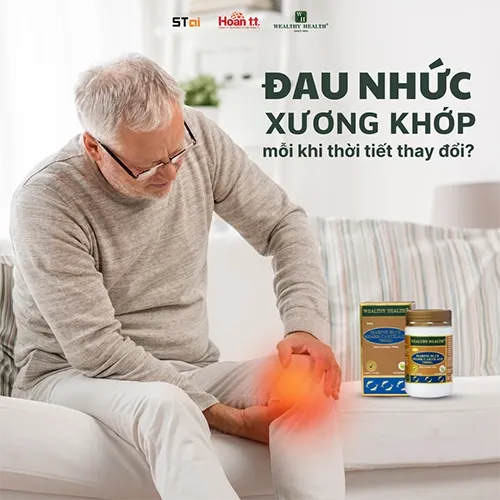 Viên uống hỗ trợ bệnh xương khớp