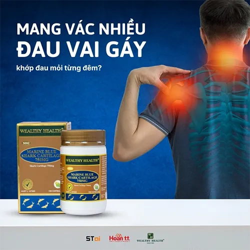 Viên uống hỗ trợ bệnh xương khớp